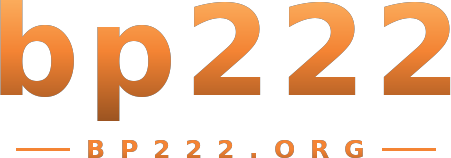 bp222 logo